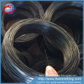 black annealed twisted baling wire,double twisted iron wire bwg 18,soft annealed twisted wire on sale